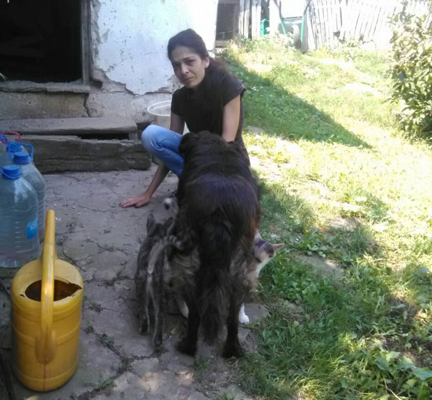 Алексинац: Убио штене хицем из пиштоља, љубимца мртвог пронашла шестогодишња девојчица!